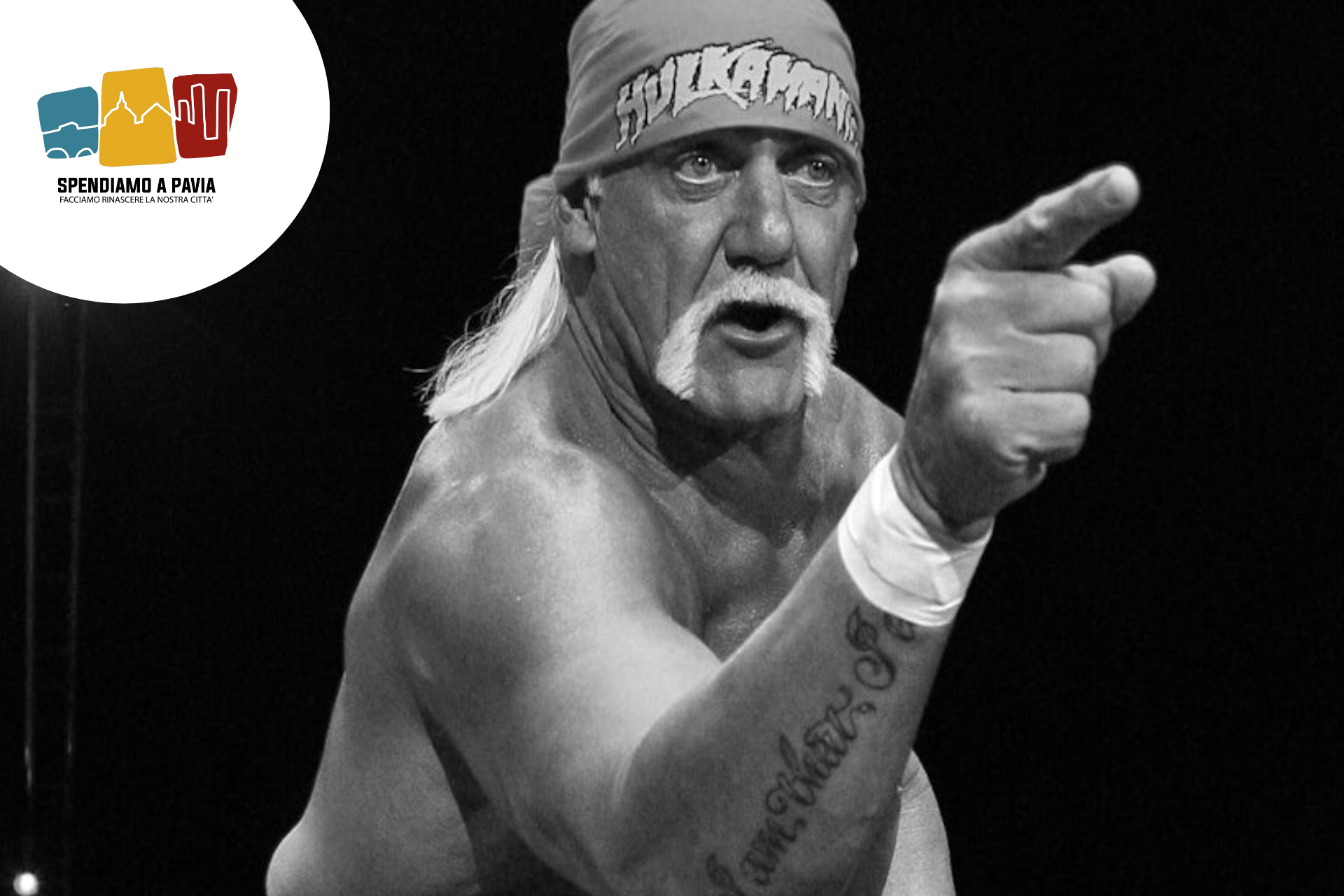 Banner_hulk_hogan.png