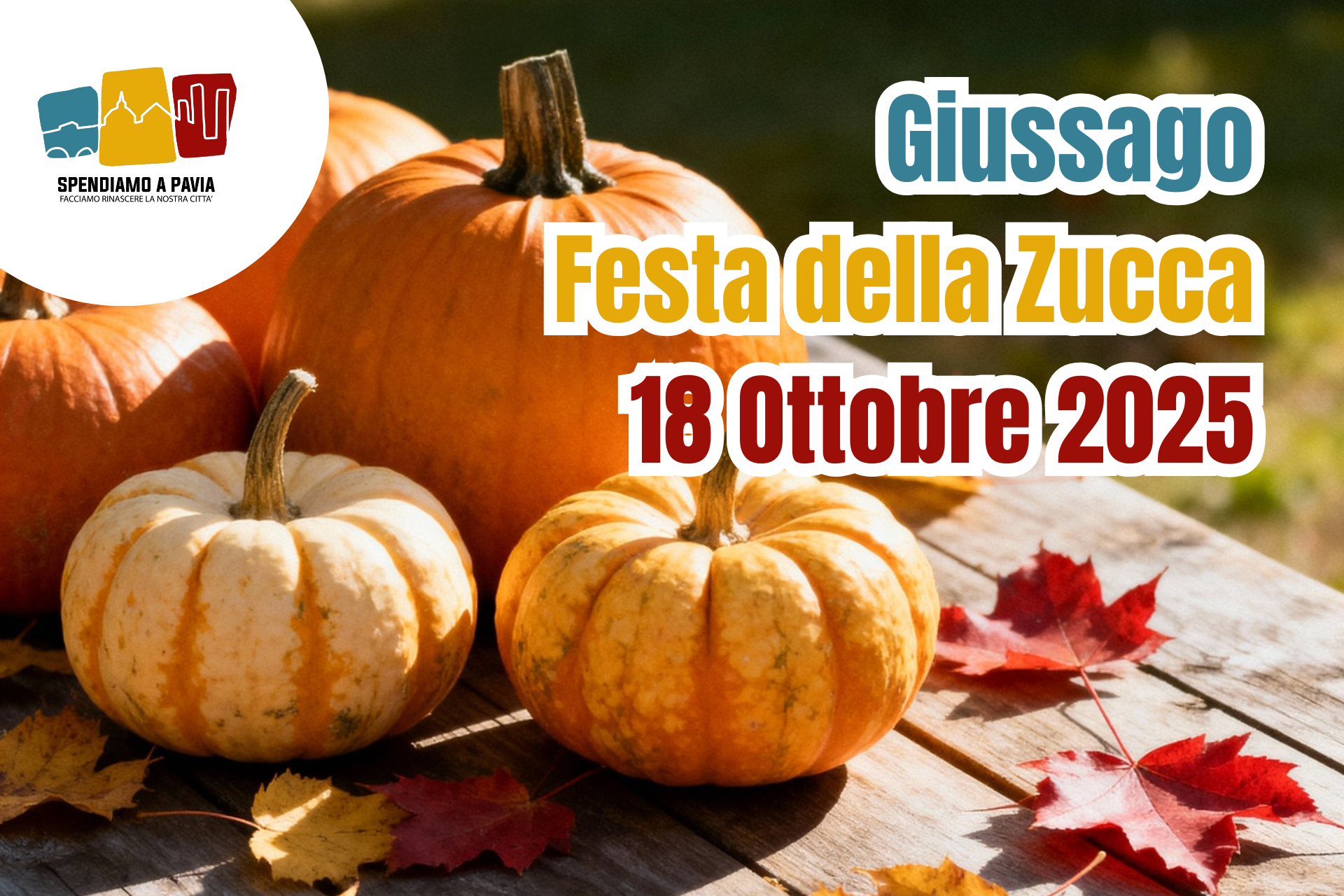 Banner_zucca.png