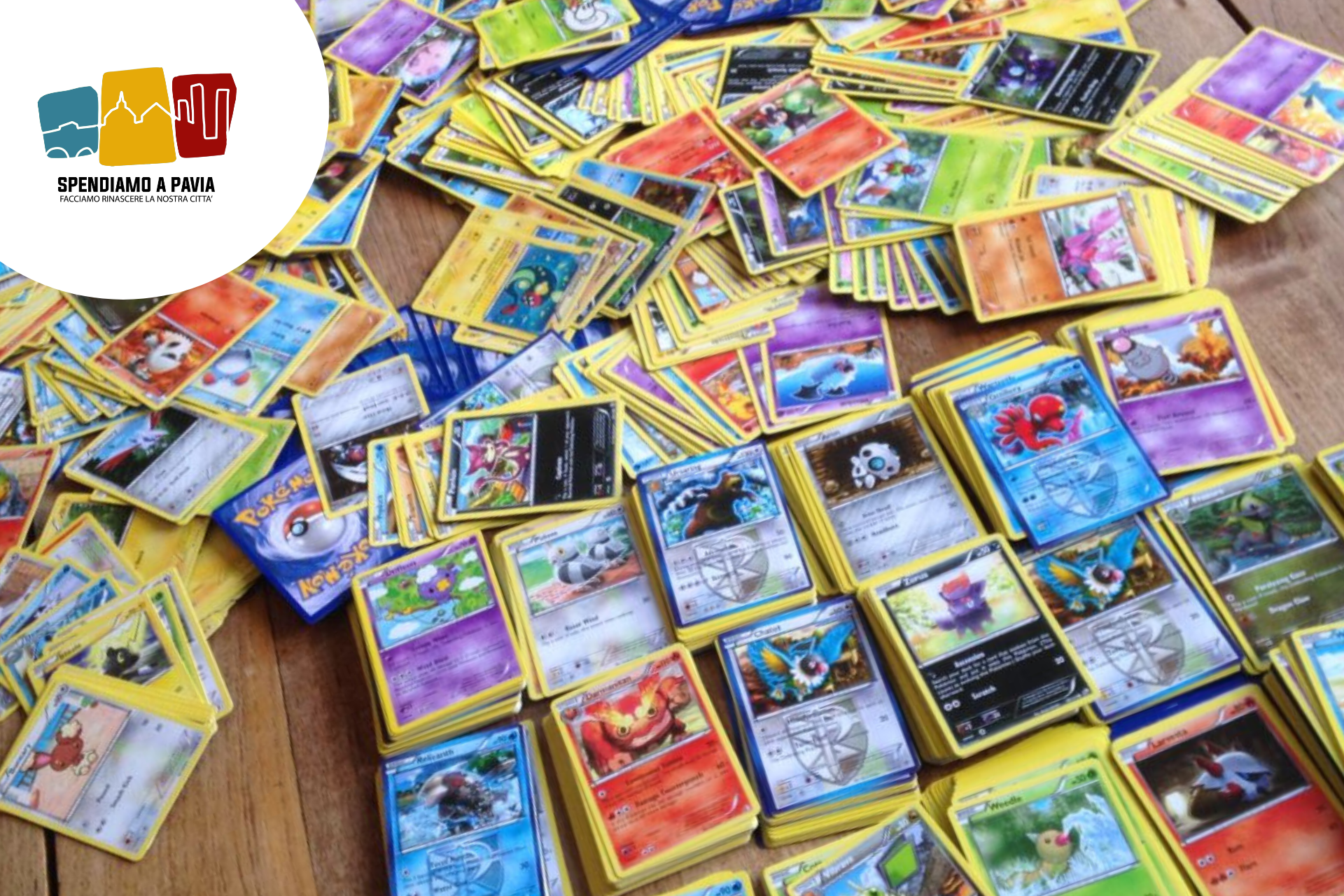 Boom del collezionismo in Lomellina e nel Pavese: tornano protagoniste le carte Pokémon e Magic