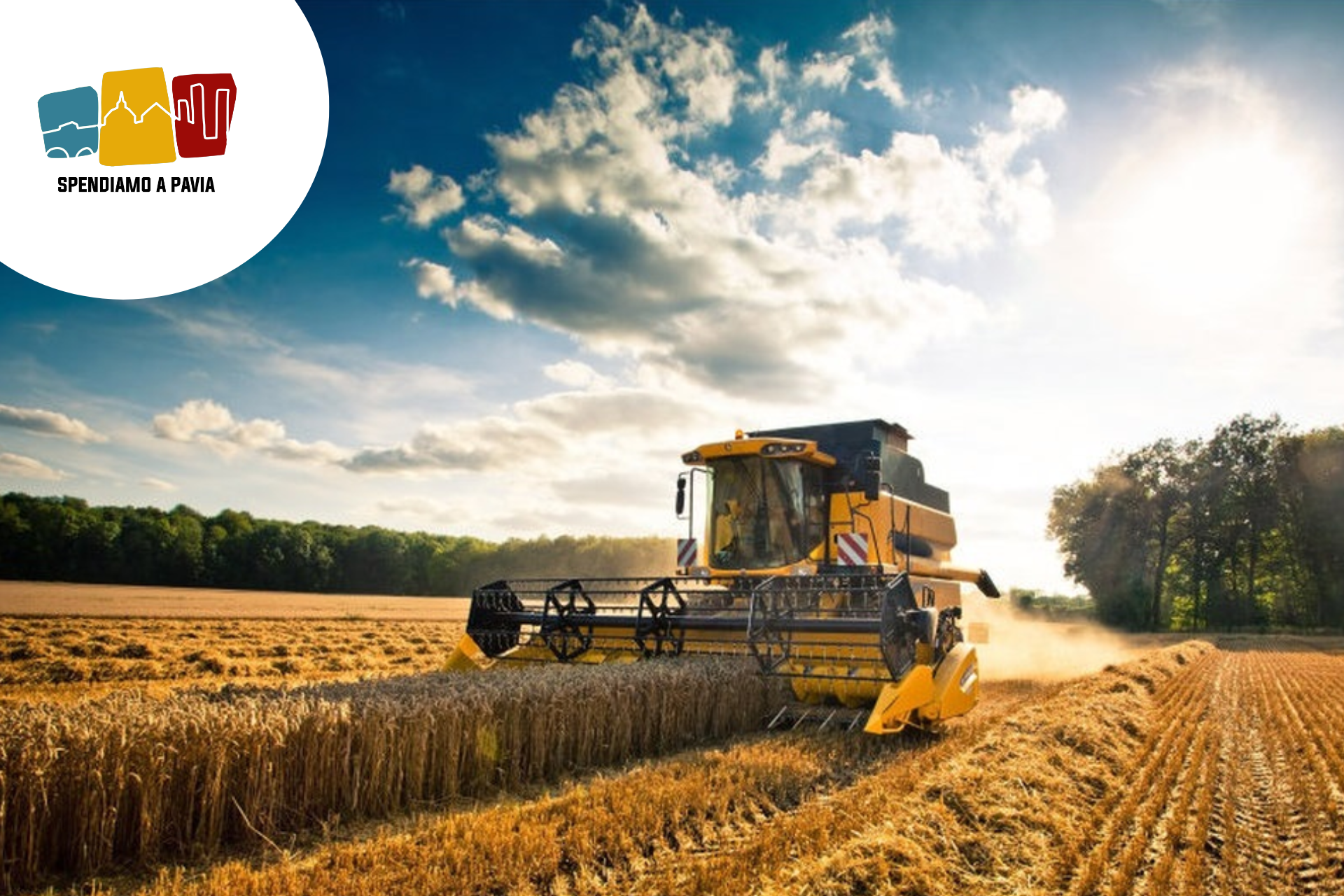 Lavoro agricolo, Pavia invecchia: crollano i giovani, crescono gli over 55