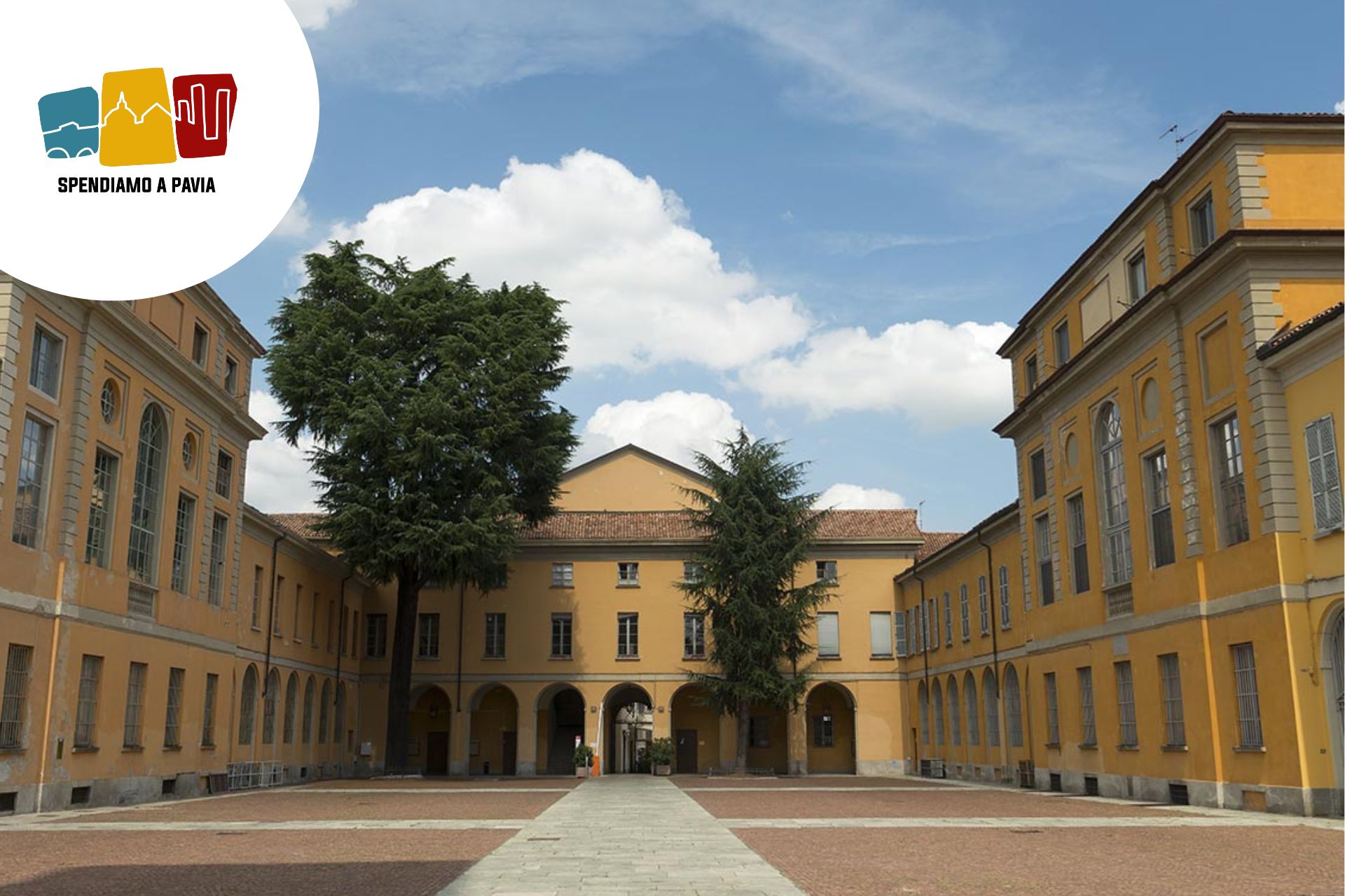Nuova guida amministrativa all’Università di Pavia: Alice Corradi nominata direttrice generale