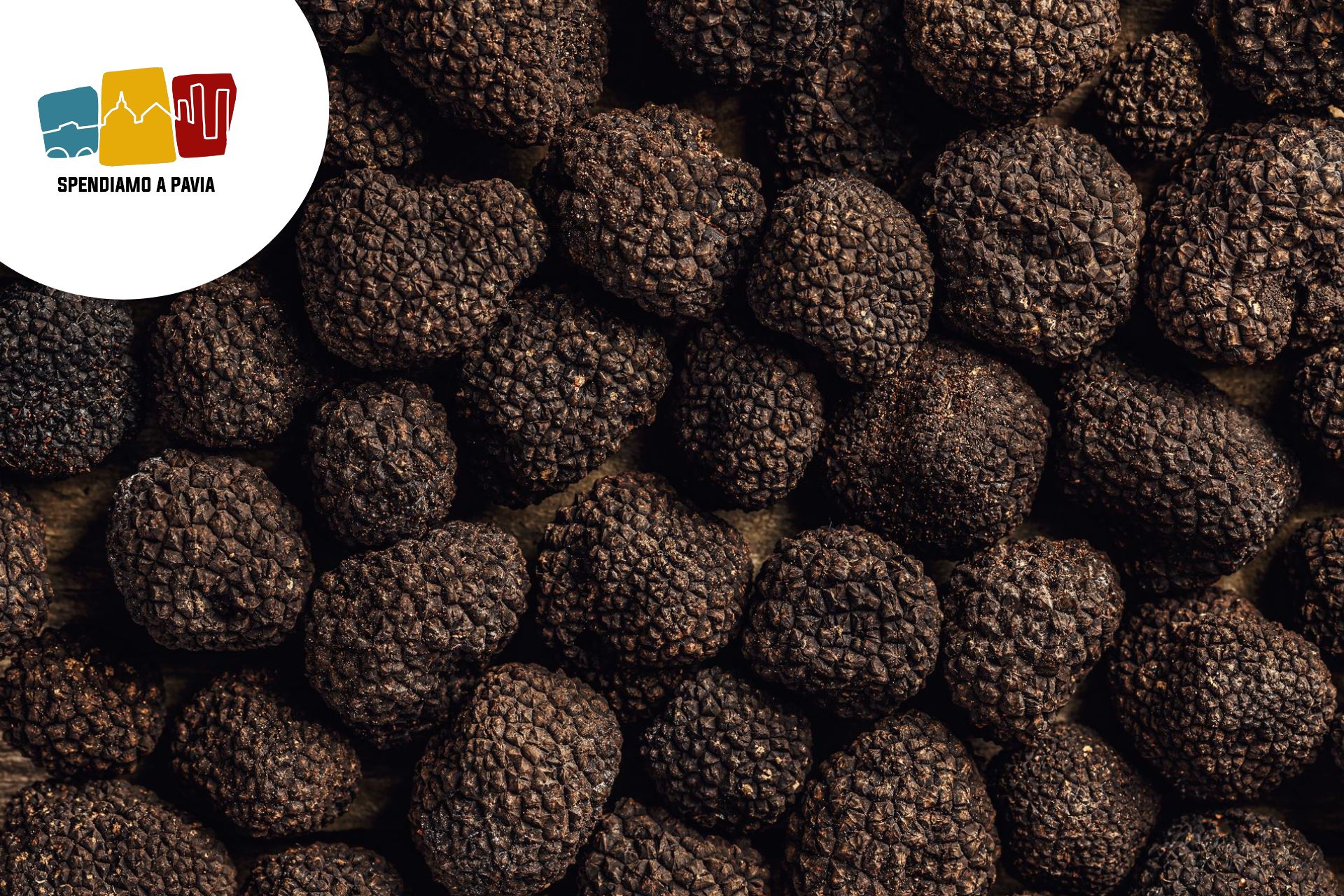 Oltrepò tra storia e tartufo: il weekend del 13-14 dicembre