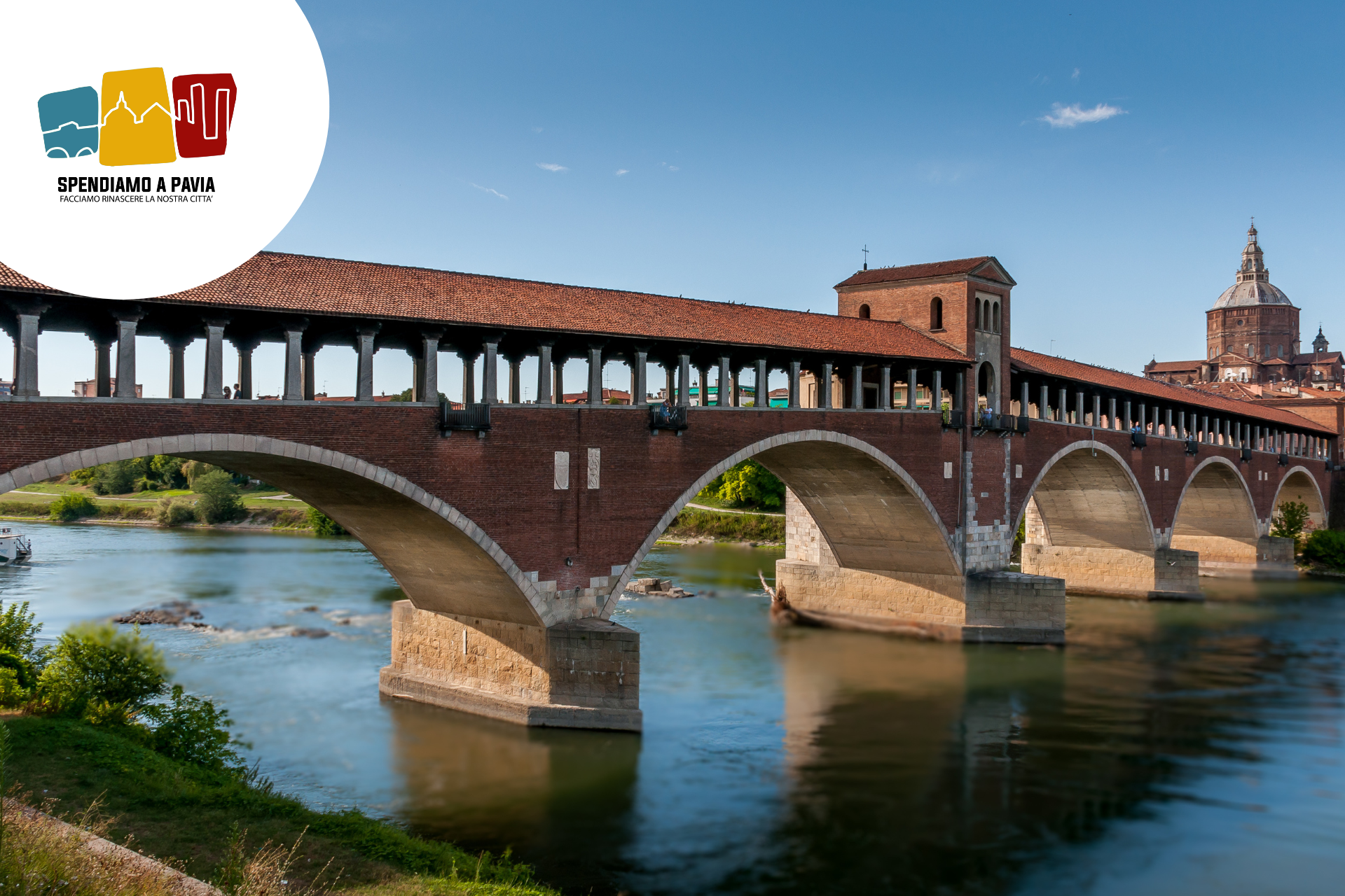 Pavia, al via il restyling di Lungoticino: via i frassini, arrivano i bagolari