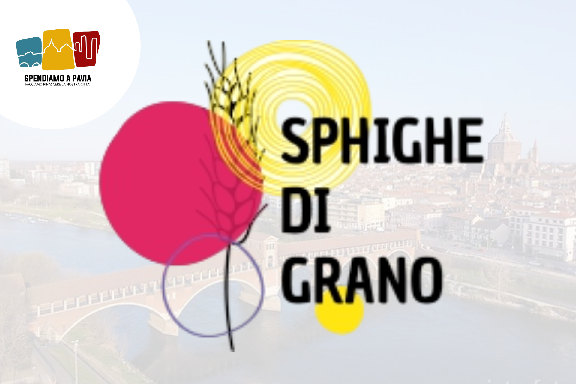 Sphighe di Grano: lavoro e inclusione per giovani fragili a Sannazzaro
