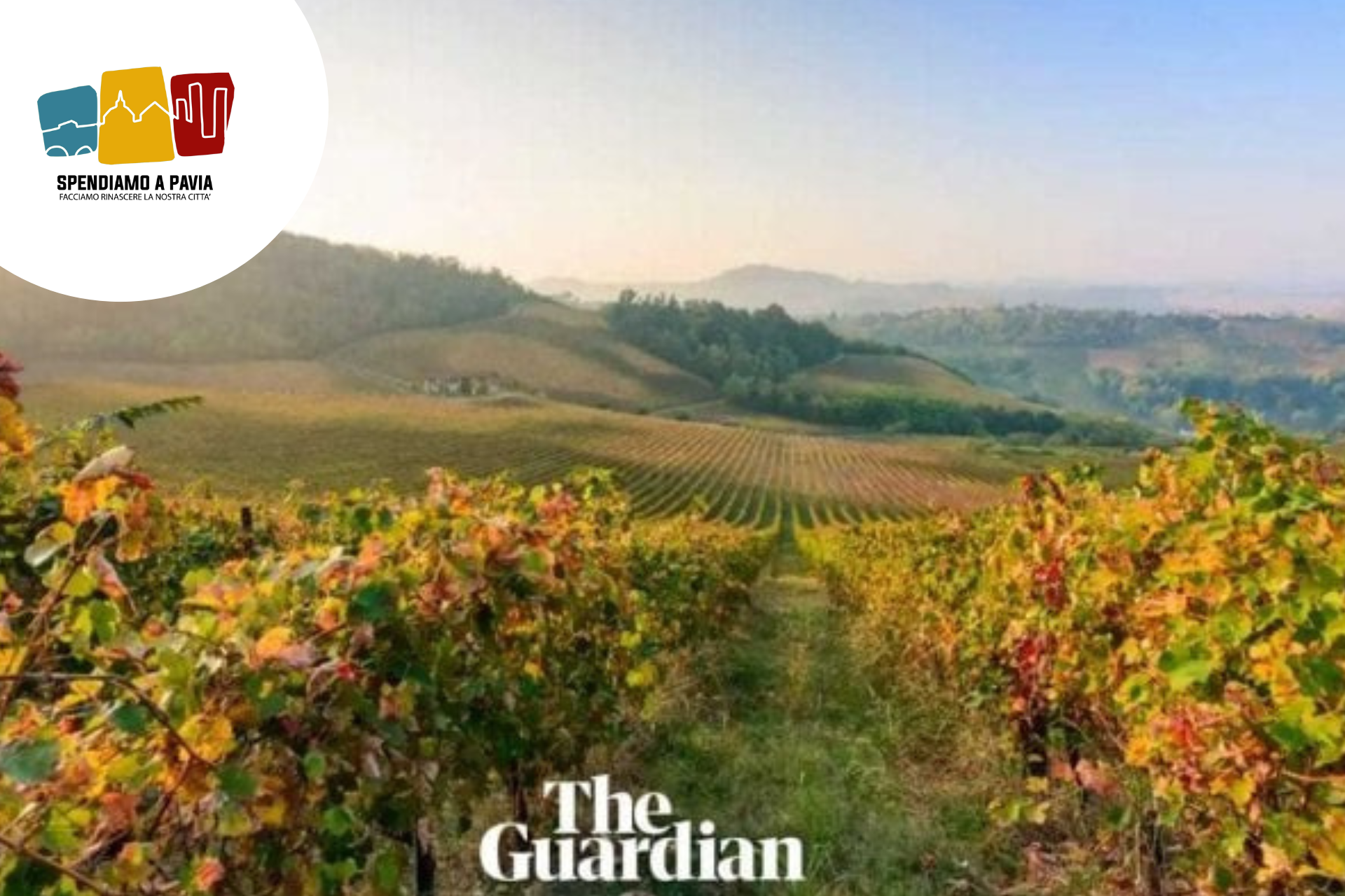 “THE GUARDIAN” SVELA L’OLTREPÒ PAVESE: IL CUORE SEGRETO DELL’ITALIA DEL VINO