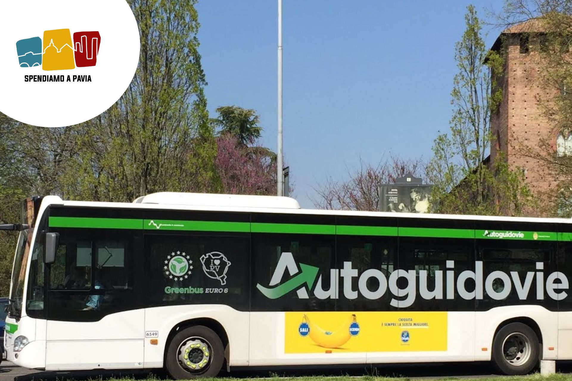 autoguidovie.jpg