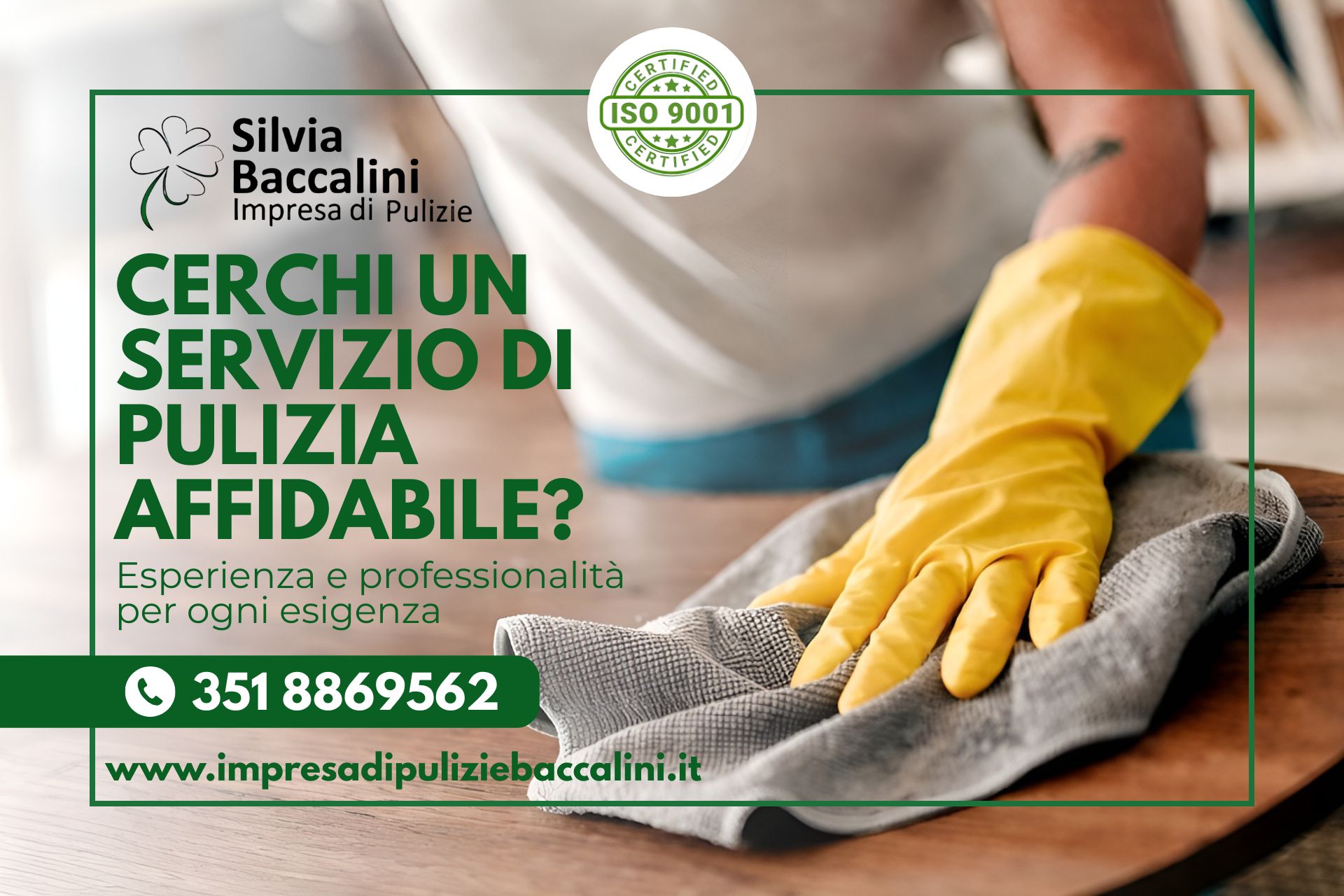 Imprese di Pulizia Baccalini