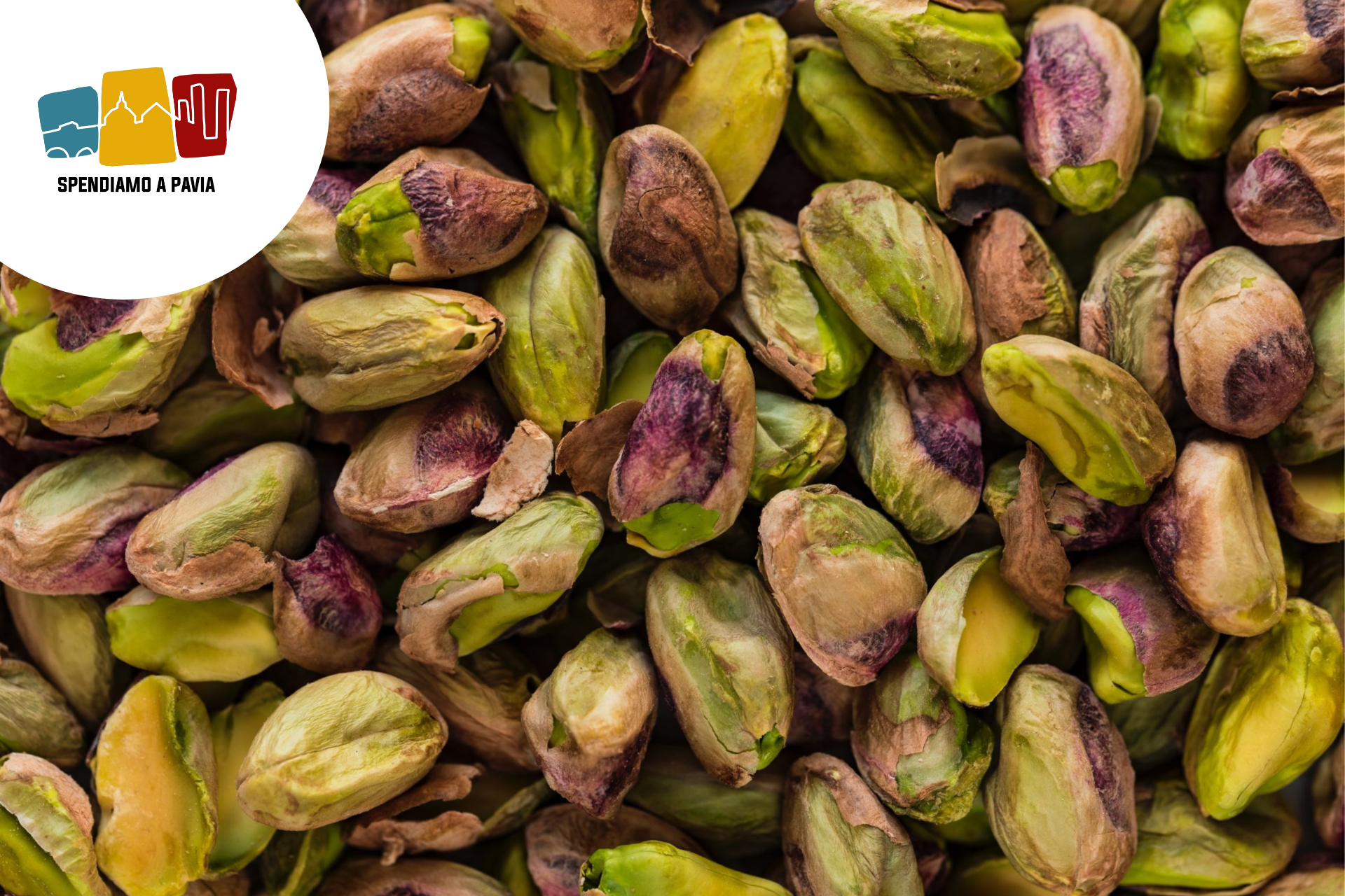 pistacchio.png