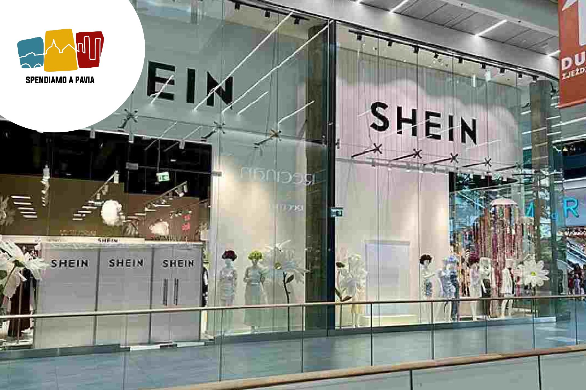 shein.jpg