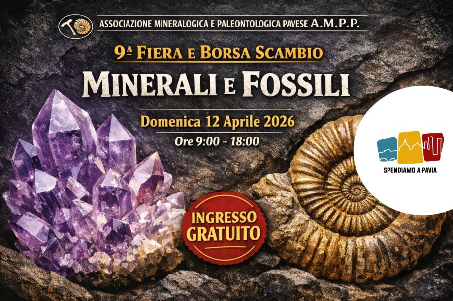 Minerali e fossili protagonisti a San Genesio: torna la 9ª Fiera dell’A.M.P.P.